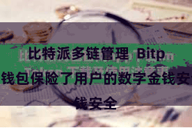 比特派多链管理  Bitpie钱包保险了用户的数字金钱安全