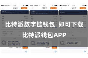 比特派数字链钱包  即可下载比特派钱包APP